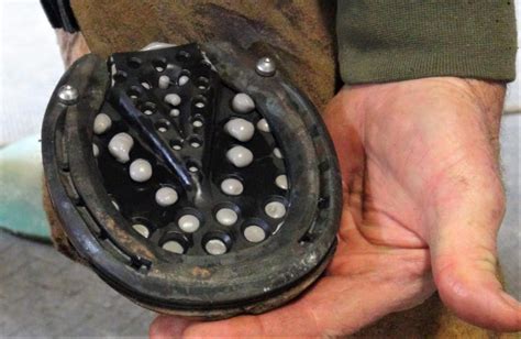 3d Hoofcare Hoof Pads 101 What You Need To Know