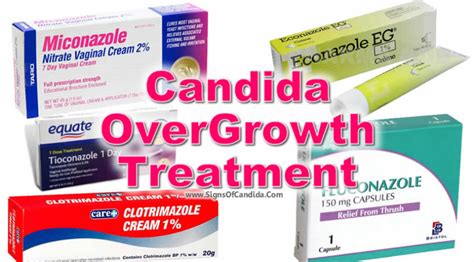 Candida Overgrowth Treatment Treat Candida Overgrowth