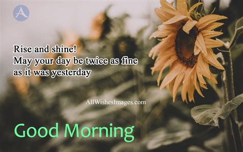 30 Good Morning Quotes In English For Whatsapp 2020 Gm Images With