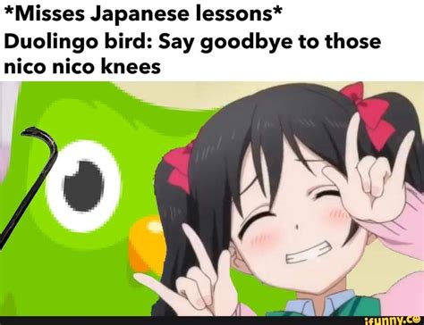 Misses Japanese Lessons Duolingo Bird Say Goodbye To Those Nico Nico