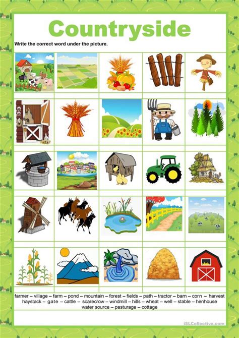 French Vocabulary: The Countryside Worksheets | 99Worksheets
