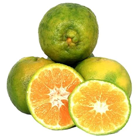 Fresh Orange Nagpur 1 Kg Grocery And Gourmet Foods