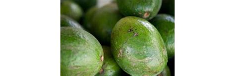 How to pollinate an avocado tree. Varieties of Self-Pollinating Avocado | eHow