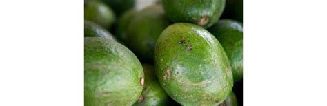 That means you would need another avocado tree nearby to pollinate your tree so that it could then produce fruit. Varieties of Self-Pollinating Avocado | eHow
