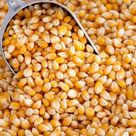 Organic Popcorn Kernels Bulk Wholefoods By Dbc