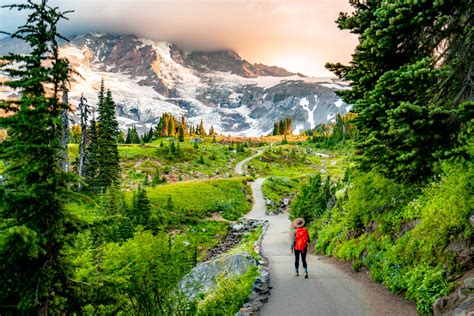 Hiking The Jaw Dropping Skyline Loop Trail At Mt Rainier National Park In 2022 Rainier