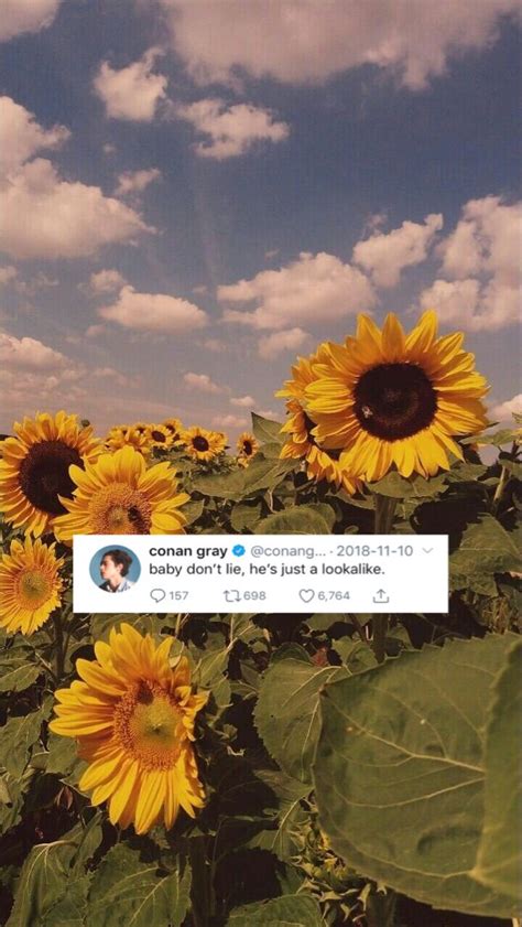 We did not find results for: Lookalike Tweet Wallpaper | Conan gray aesthetic, Conan ...