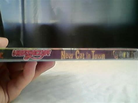 New Dvds Heathcliff New Cat In Town Run Time 88 Min By Dic 1981 Ebay