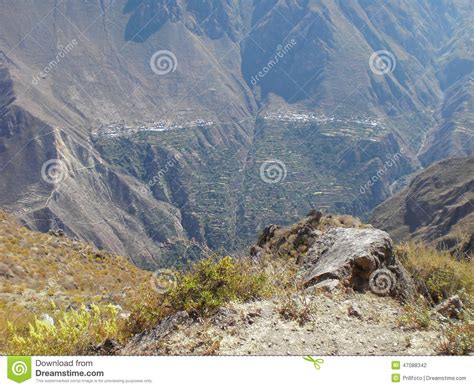 Colca Canyon Stock Photo Image Of Rock Pebble Countryside 47088342