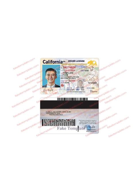 Free Editable Blank California Drivers License Template Technologyffop