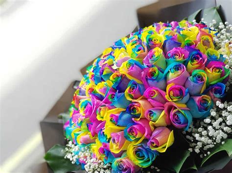 Use A Rainbow Roses Bouquet As A Decoration Or A T To Your Loved One