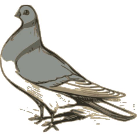 Pigeon 1 Png Svg Clip Art For Web Download Clip Art Png Icon Arts