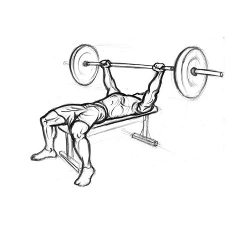 Bench Press With Barbell