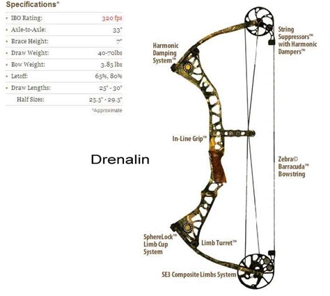 Mathews Drenalin This Is What Life Is All About The Best Bow For The