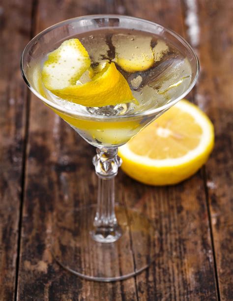 Dry Gin Martini With Lemon Twist The Ideas Kitchen Recipe Dry Gin