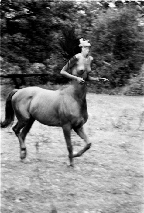 495 Best Images About Centaurs On Pinterest Artworks