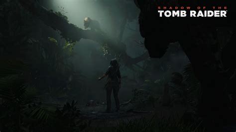 Wallpaper : Shadow of the Tomb Raider, Lara Croft 1920x1080 ...