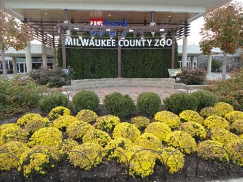 The zoo houses 1,800 animals and covers an area of 190 acres (77 ha). Here Are The Free Days At Milwaukee County Zoo In 2018