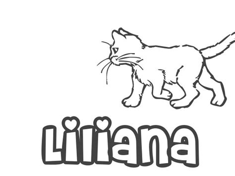 Nombre De Niña Liliana Significado Origen Y Pronunciación De Liliana