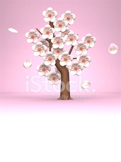 Cherry Blossoms On Pink Text Space Stock Photo Royalty Free Freeimages