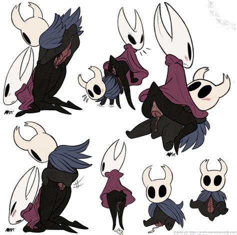 Hornet And The Knight In Many Positions R Hollow Knight R34