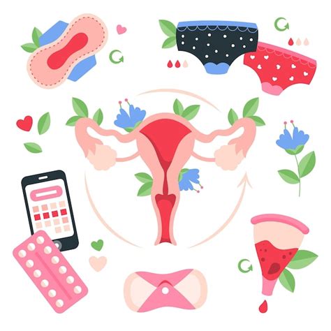 Concepto De Sistema Reproductor Femenino Con Productos De Higiene The Best Porn Website