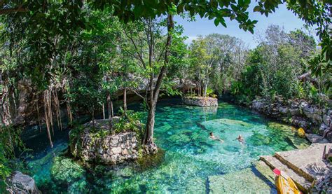 Ecotourism In Quintana Roo Tourist Guide Visit Mexicomx