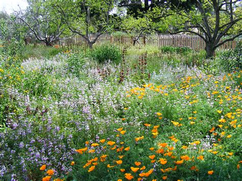 Please note these gardens may also be located in sanford, oakwood, vernon, august f. Best Public Gardens In Los Angeles - CBS Los Angeles