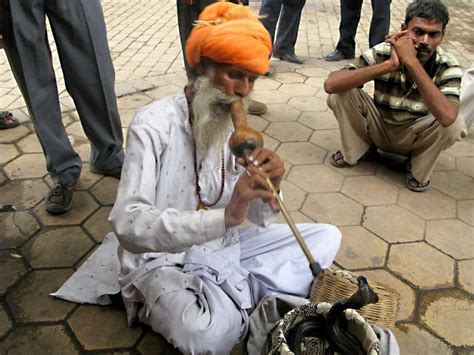 In India Snake Charmers Are Losing Their Sway Npr