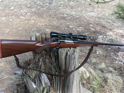 Winchester Model 70 Classic Compact Bushcraft Usa Forums