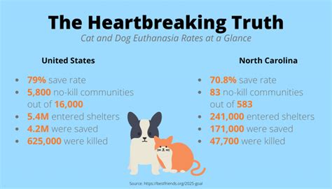 Animal Shelters Are Working To Reduce Euthanasia Rates Unc Media Hub