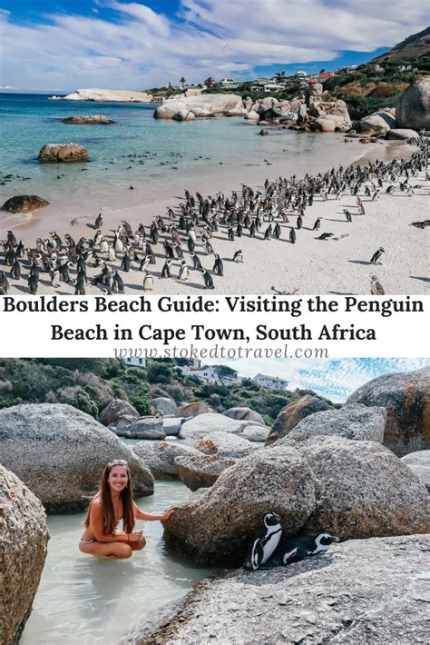 Looking To Find Out More About The Penguin Beach In Cape Town Ive Got