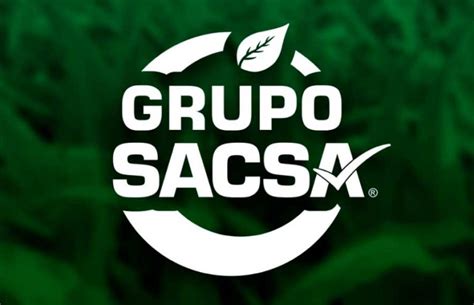 Grupo Sacsa Importancia De La Asesoria Tecnica Grupo Sacsa