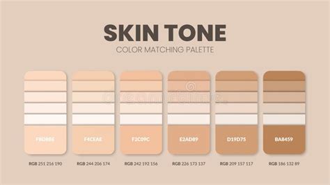 Skin Tone Theme Color Palettes Or Color Schemes Are Trends Combinations And Palette Guides