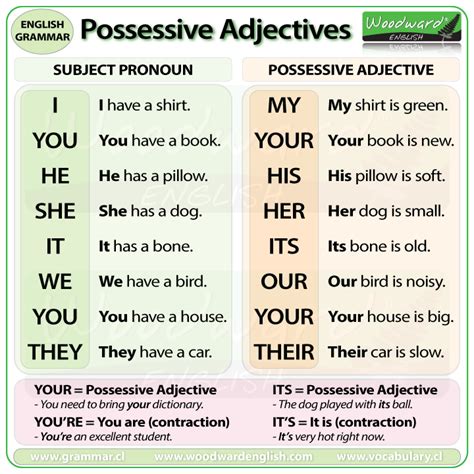 Possessive Adjectives In English