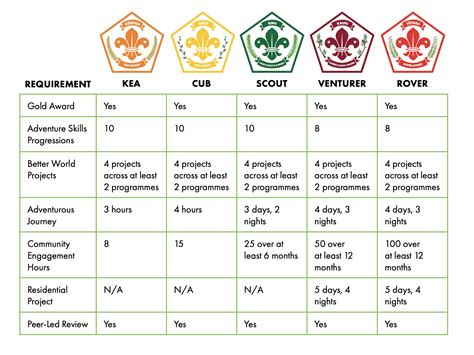 Award Scheme Churchward Park Scouts