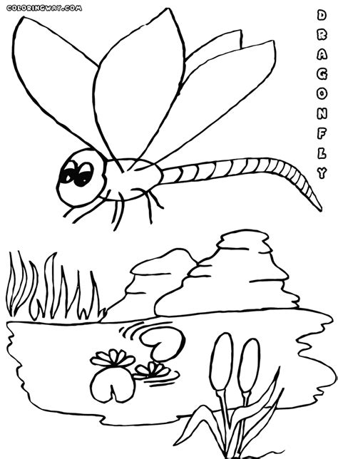 You can use our amazing online tool to color and edit the following free dragonfly coloring pages. Dragonfly coloring pages | Coloring pages to download and ...