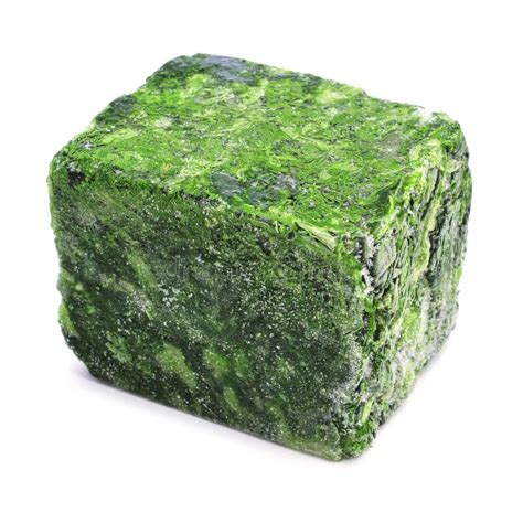 Frozen Spinach Blocks Stock Photo Image Of Healthy 143612462