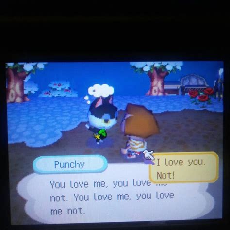 An Animal Crossing Game Being Played On The Nintendo Wii With Text
