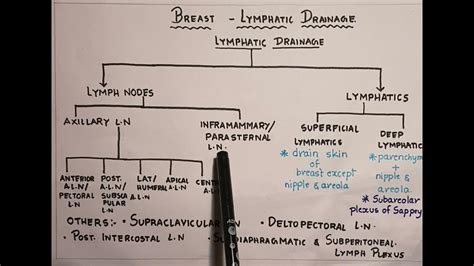 Lymphatic Drainage Of Breast Simplified Charts Youtube