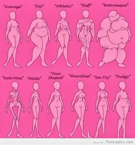 Funny Female Body Type Chart