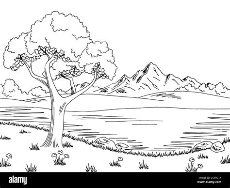 Lake Tree Graphic Black White Landscape Sketch Illustration Vector