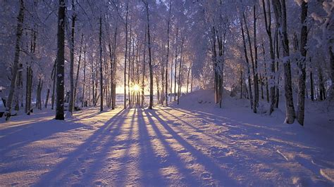 Hd Wallpaper Beautiful Winter Sunrise In The Forest Hd1080p Snow