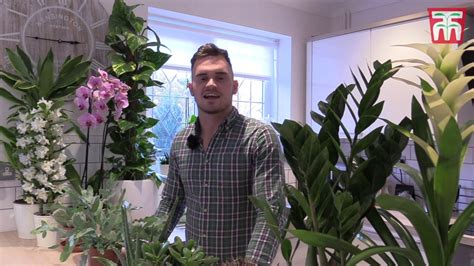 How To Grow House Plants With Thompson And Morgan Youtube