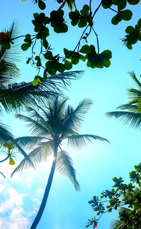 Visit Hawaii Big Island Travel Guide Diary Of A Debutante Big
