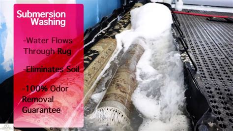 Ace hardware of ocala 8585 sw highway 200 ocala, fl 34481 phone: Area Rug Cleaning Jacksonville FL - YouTube