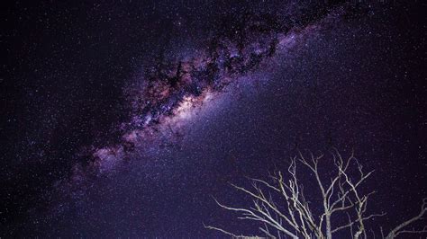 Galaxy Stars Milky Way Night Branches Hd Wallpaper Nature And
