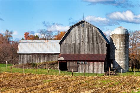 Old Barn And Silos In Autumn Stock Photo Download Image Now Istock