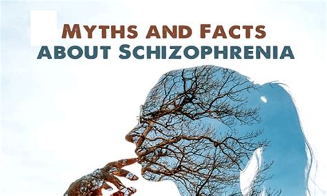 Top 5 Schizophrenia Myths And Facts And Misconceptions
