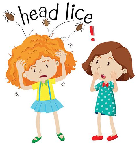 10 Child Head Lice Illustrations Royalty Free Vector Graphics And Clip